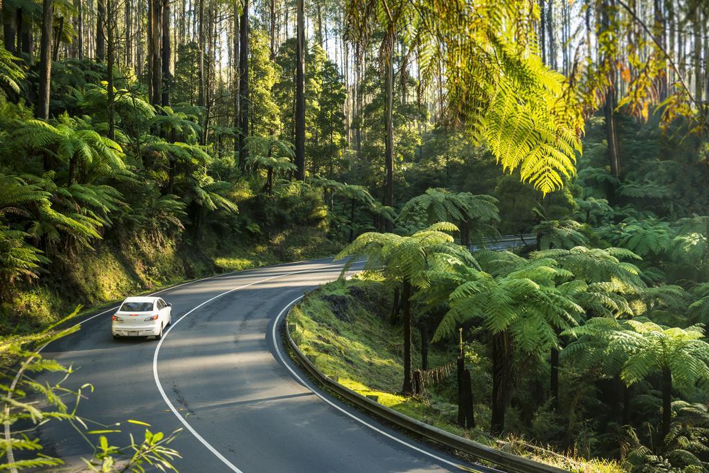 Lithgow Falls Мерисвил Екстериор снимка